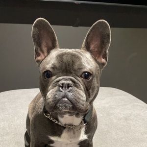 Meet your Posher, Erica